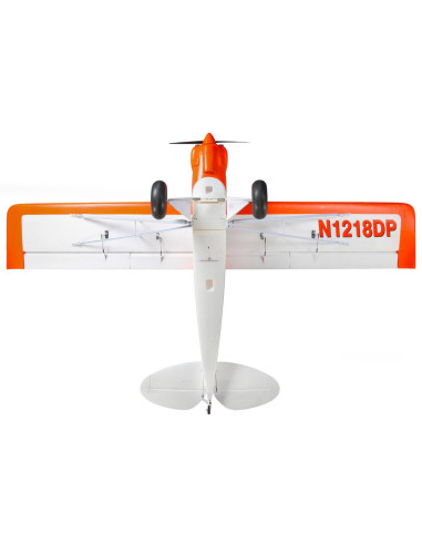 Carbon Z cub SS (env 2,1m) BNF + AS3X-Safe EFL12450