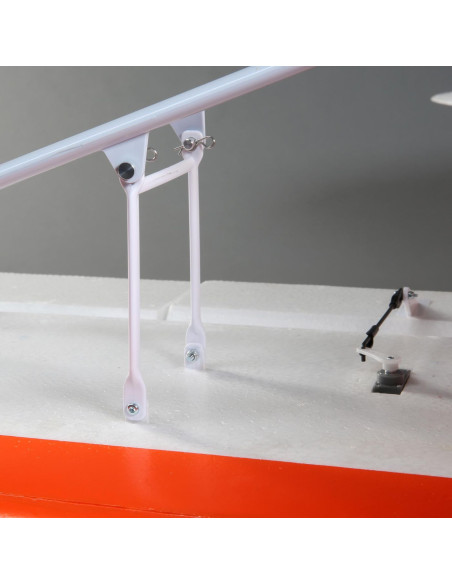 Carbon Z cub SS (env 2,1m) BNF + AS3X-Safe EFL12450