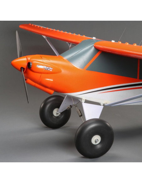 Carbon Z cub SS (env 2,1m) BNF + AS3X-Safe EFL12450