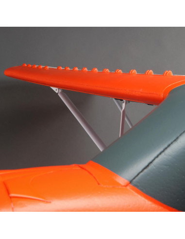 Carbon Z cub SS (env 2,1m) BNF + AS3X-Safe EFL12450