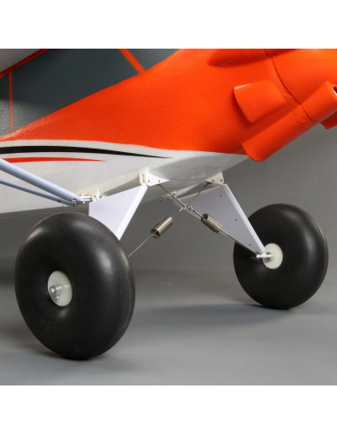 Carbon Z cub SS (env 2,1m) BNF + AS3X-Safe EFL12450