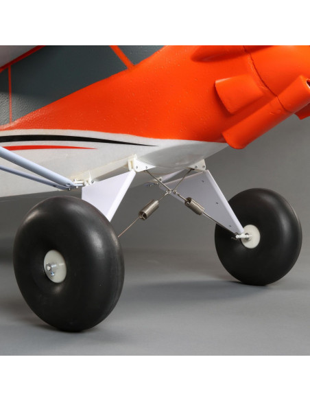 Carbon Z cub SS (env 2,1m) BNF + AS3X-Safe EFL12450