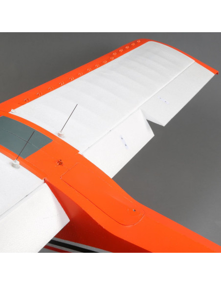 Carbon Z cub SS (env 2,1m) BNF + AS3X-Safe EFL12450