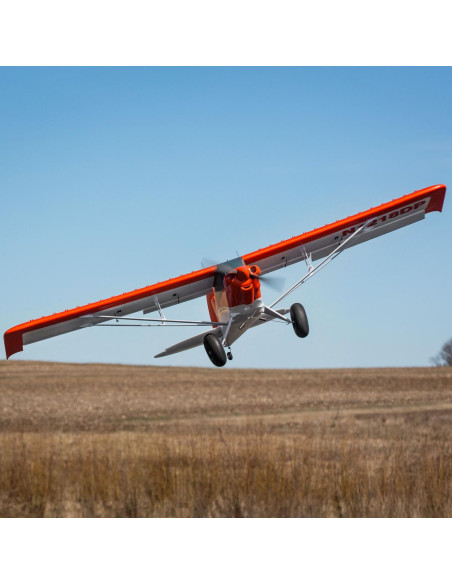 Carbon Z cub SS (env 2,1m) BNF + AS3X-Safe EFL12450