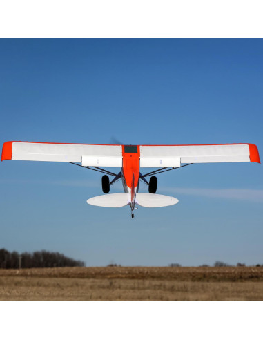 Carbon Z cub SS (env 2,1m) BNF + AS3X-Safe EFL12450