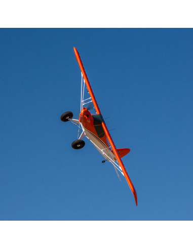 Carbon Z cub SS (env 2,1m) BNF + AS3X-Safe EFL12450