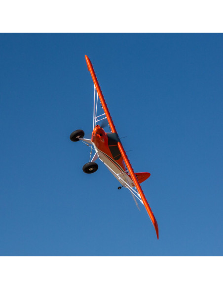 Carbon Z cub SS (env 2,1m) BNF + AS3X-Safe EFL12450