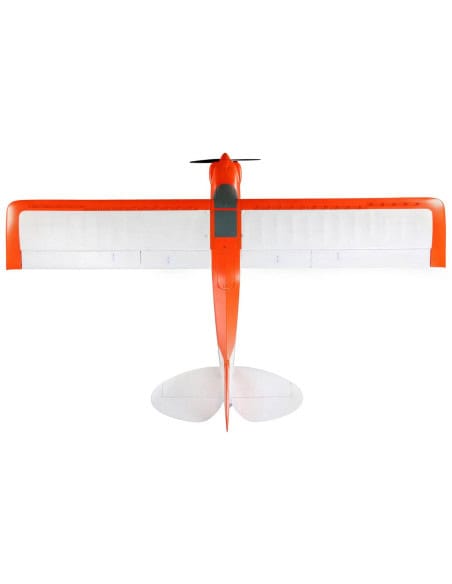 Carbon Z cub SS (env 2,1m) BNF + AS3X-Safe EFL12450