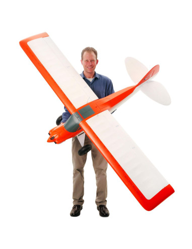 Carbon Z cub SS (env 2,1m) BNF + AS3X-Safe EFL12450