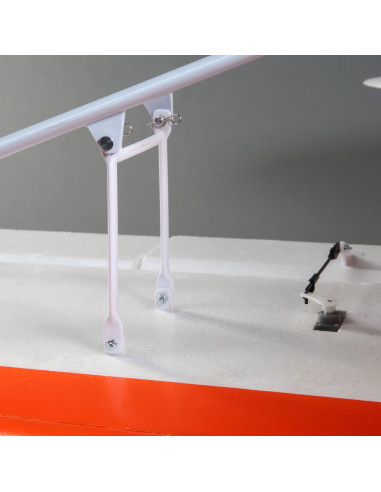 Carbon Z cub SS (env 2,1m) BNF + AS3X-Safe EFL12450