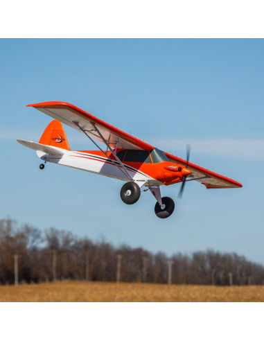 Carbon Z cub SS (env 2,1m) BNF + AS3X-Safe EFL12450