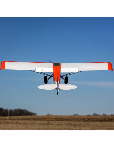 Carbon Z cub SS (env 2,1m) BNF + AS3X-Safe EFL12450