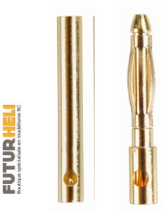 PK 2mm (la paire ) Or