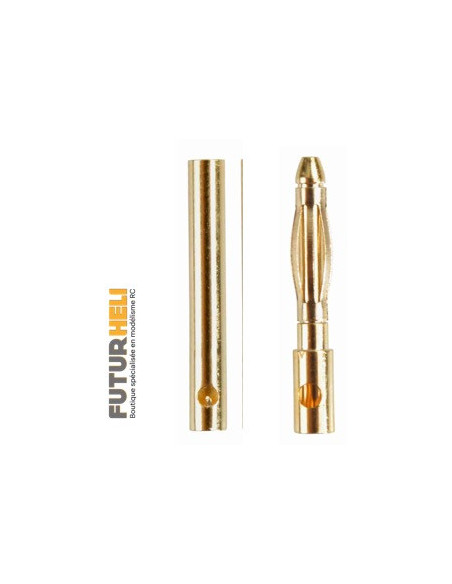 PK 2mm (la paire ) Or