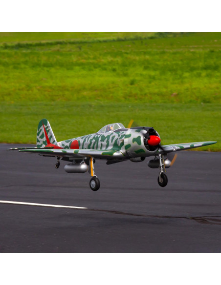 Hangar9 Ki-43 Oscar 50-60cc (env 2,23M) HAN4720