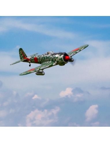 Hangar9 Ki-43 Oscar 50-60cc (env 2,23M) HAN4720
