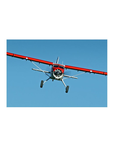 FMS Beaver V2 (env 2M) PNP avec reflex système offert