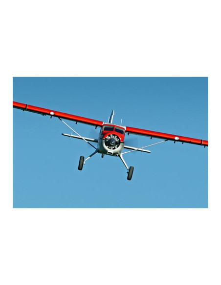 FMS Beaver V2 (env 2M) PNP avec reflex système offert