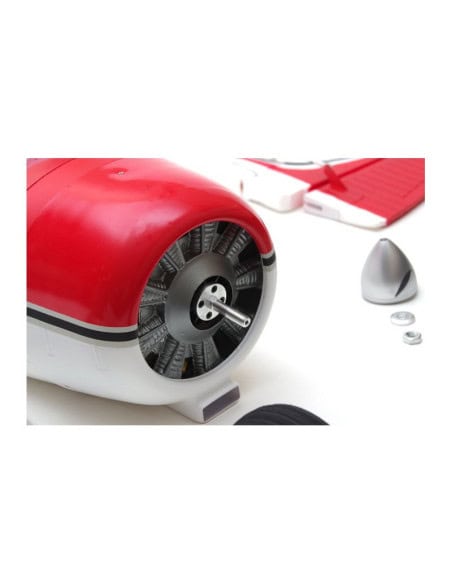 FMS Beaver V2 (env 2M) PNP avec reflex système offert