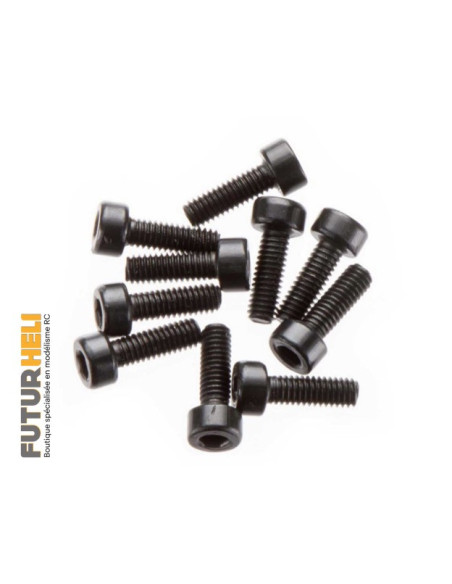 Arrama Vis 2,5x8mm 6 pans creux