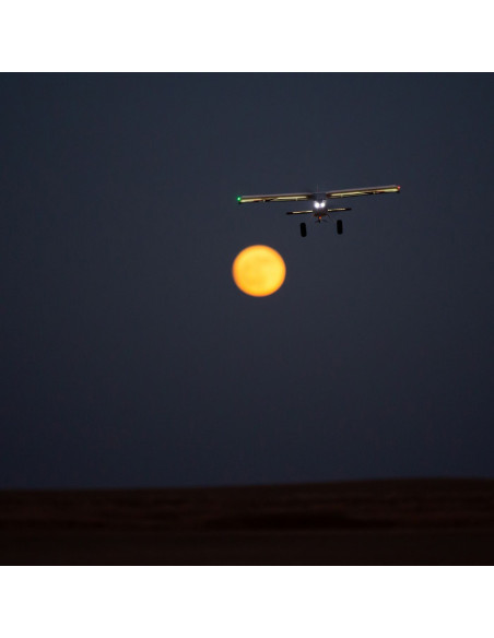 Night Timber X 1,2 BNF basic AS3X /Safe EFL13850