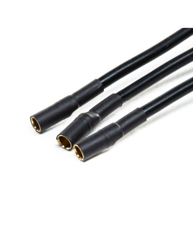 Spektrum ESC Avian 60A 3/6S Brushless Smart