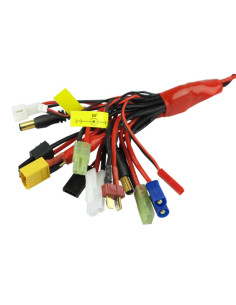 Cable de charge universel