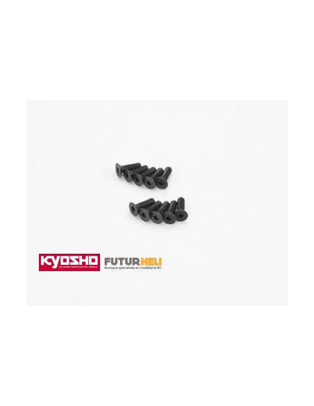 Vis fraisées M3X10 (x10)