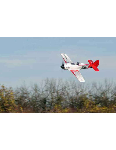 RaceWulf RR racer (env 95cm)