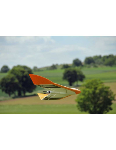 FunWing  (env 116cm) Kit+complet