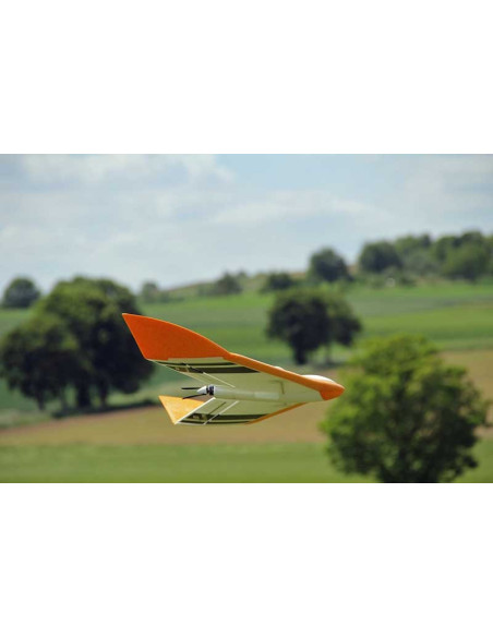 FunWing  (env 116cm) Kit+complet