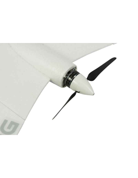 FunWing  (env 116cm) Kit+complet