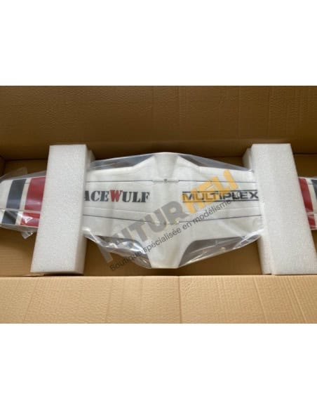 Aile RaceWulf (sans servo)