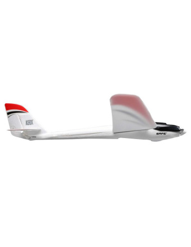 E-flite Radian UMX BNF et Safe basic EFLU2950
