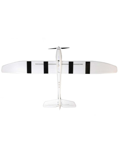 E-flite Radian UMX BNF et Safe basic EFLU2950