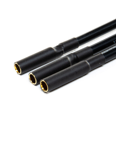 Avian 100Amp Brushless Smart ESC, 3-6S Ver A