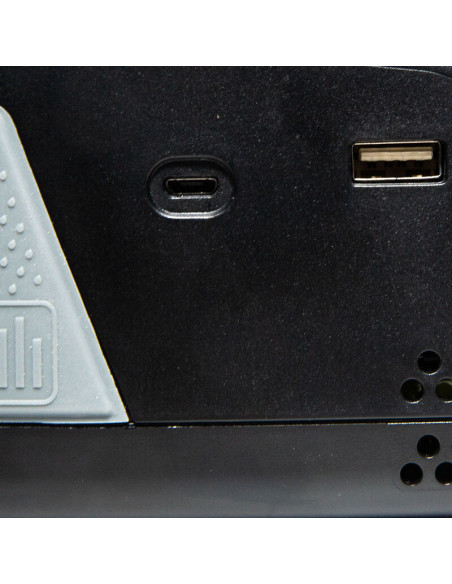 Chargeur Smart S2200 2x200W