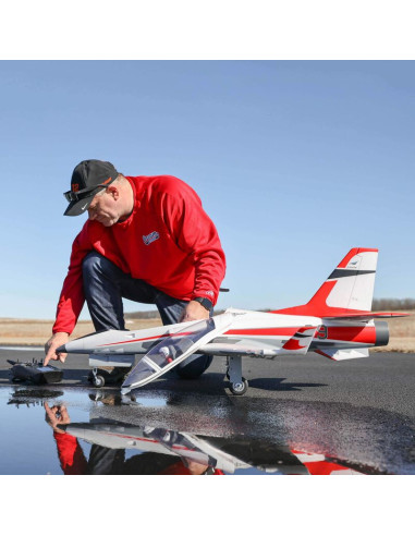 Viper 90mm Jet BNF Basic + AS3X et Safe