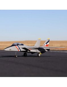 F-14 Tomcat Twin 40mm EDF BNF Basic 2