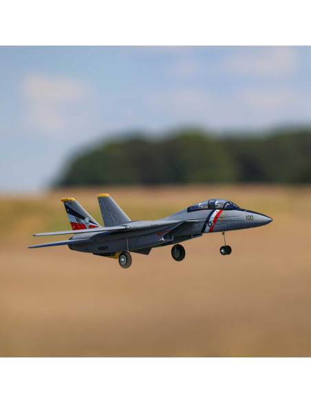 F-14 Tomcat Twin 40mm EDF BNF Basic