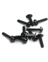 R01CP110 vis M2 x 14 flasqué