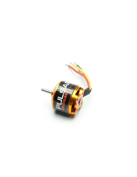 Moteur brushless PULSAR P15-1000