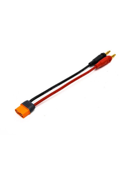 Cordon de charge IC3