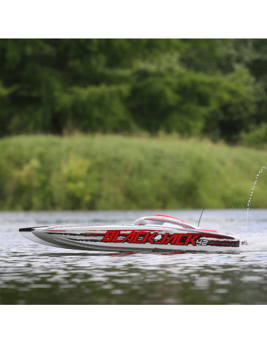 Catamaran Blackjack 108cm 8s Brushless RTR