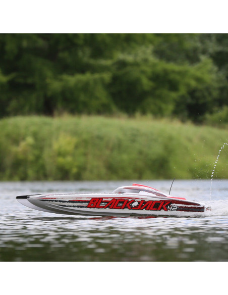 Catamaran Blackjack 108cm 8s Brushless RTR