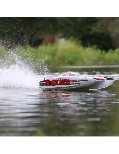 Catamaran Blackjack 108cm 8s Brushless RTR