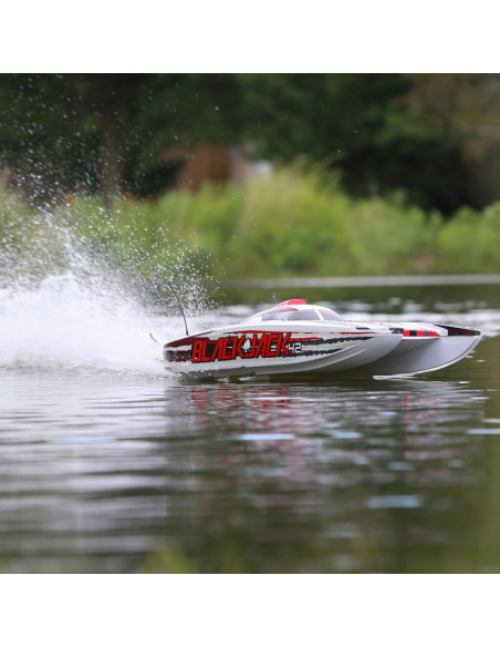 Catamaran Blackjack 108cm 8s Brushless RTR