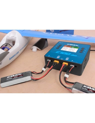 Chargeeur 2x500 w C100 duo 220v