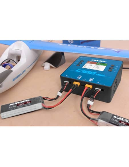 Chargeeur 2x500 w C100 duo 220v