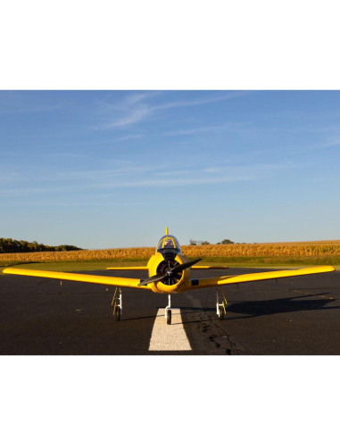 Carbon Z T28 Trojan env 2M BNF Basic